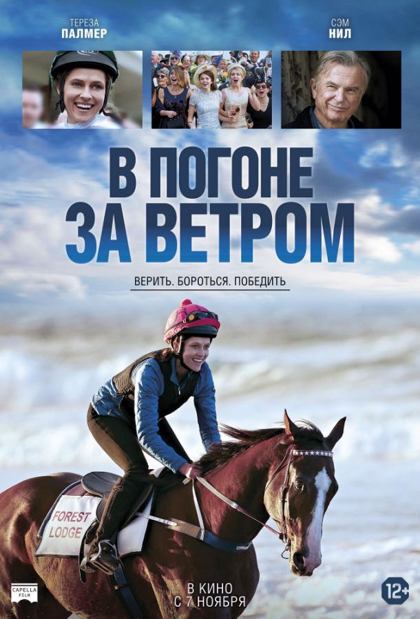 Фильм В погоне за ветром (2019) смотреть онлайн в качестве FHD